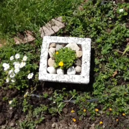 Mackólak és ökoporta Vendégház *