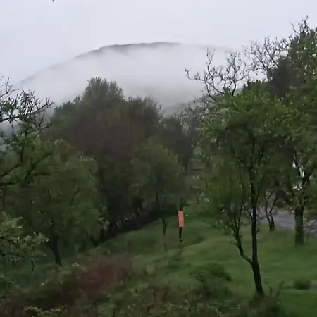 Vendégház Mackólak és ökoporta *