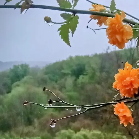 Mackólak és ökoporta Vendégház Hosszúhetény