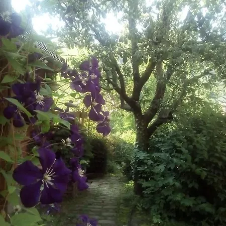 Mackolak Vendeghaz Es Oekoporta Πανσιόν